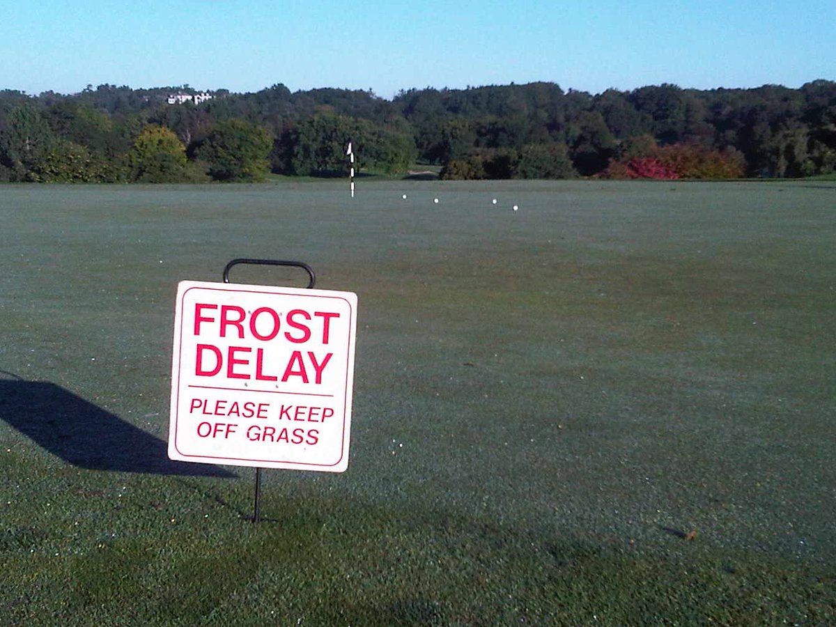 Sean Gunn tweet media