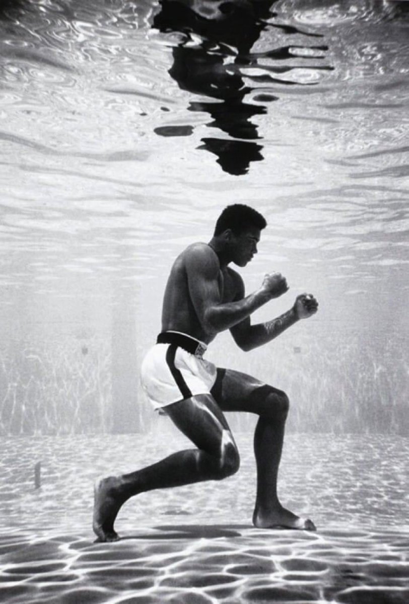 YahiaLababidi's tweet photo. "People run in packs because they don’t feel safe alone. 

I run alone because I don’t feel safe in packs." 
  
—Muhammad Ali https://t.co/GtrN75AX3Q