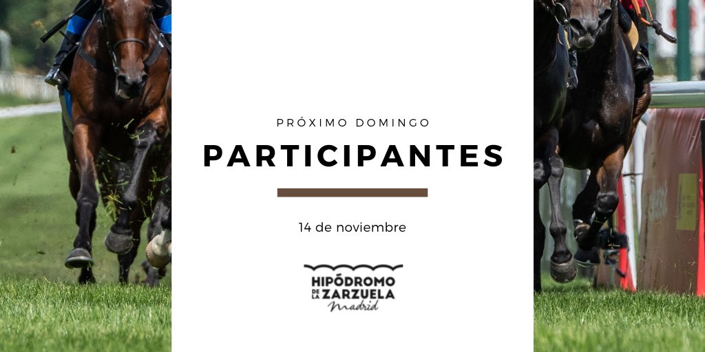 HipodromoMadrid's tweet photo. Ya puedes elegir a tus favoritos de cara a la próxima jornada de #carreras del 14 de noviembre. Revisa el #partant de participantes en nuestra web 🐎.
🔗https://t.co/rjoH3D5Npf https://t.co/J8X35fmDqi