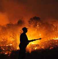 8 november 2021 - In Athene werden verleden vrijdag betogende leden van de vrijwillige brandweer door de politie hardhandig aangepakt en met het waterkanon en traangas uiteengedreven; één brandweerman werd ernstig verwond aan de hand.  #bosbranden

andereuropa.org/griekenland-br…