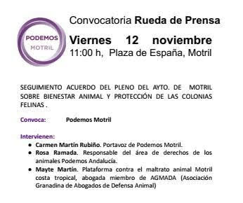 FeminisPodAnd's tweet photo. Este viernes en Motril, las compañeras @CarmenMartinR1 y @RosaRamada , en rueda de prensa en defensa de los derechos de los animales. “La grandeza y el progreso moral de una nación puede medirse por la forma en que trata a sus animales”Mahatma Gandhi
#Defensaanimales https://t.co/oKabqYyokG