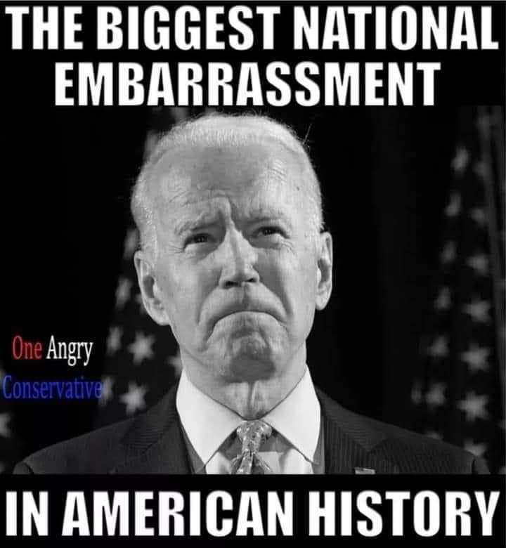 DiannSapien's tweet photo. @DonaldJTrumpJr #TrumpWon https://t.co/QfAGrYZYzV
