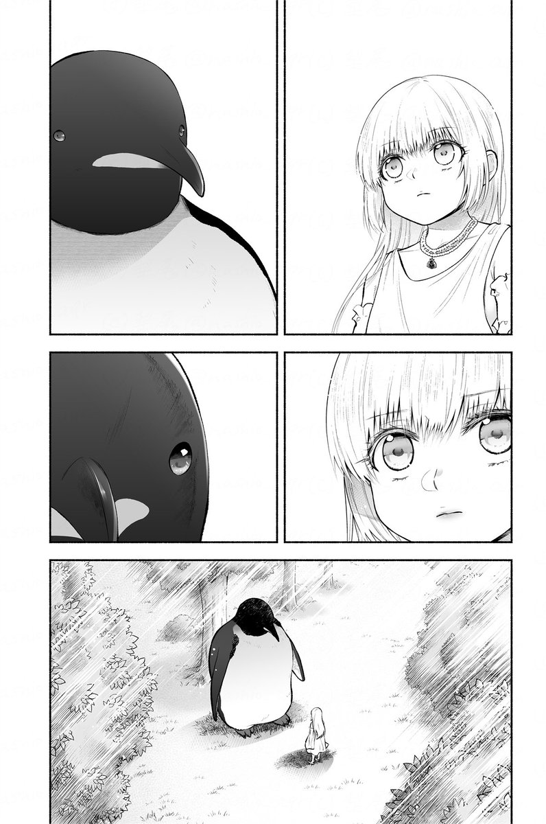 引きこもりペンギンと生贄少女のラブコメ
『異世界ペンギンと食べられたがりの聖女 〜転生したけど引きこもりたい!〜』
pixivにもお試し読みをアップしました～!
https://t.co/MztwlpaeJK

🐧COMICFUZにて連載中です!
https://t.co/WAhTJIEkEd 