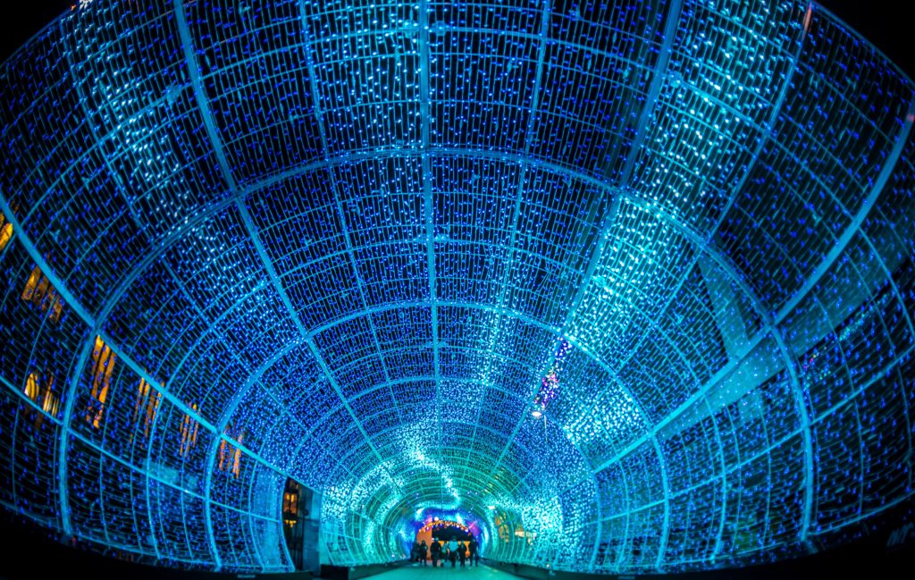 The Tunnel of Light is returning this November! 🌟 The fabulous installation will be shining bright from 16 November until 5 January 2022. The Tunnel has lit up the #Norwich streets for several years and there will be more gorgeous patterns to enjoy this year than ever before! ❤️