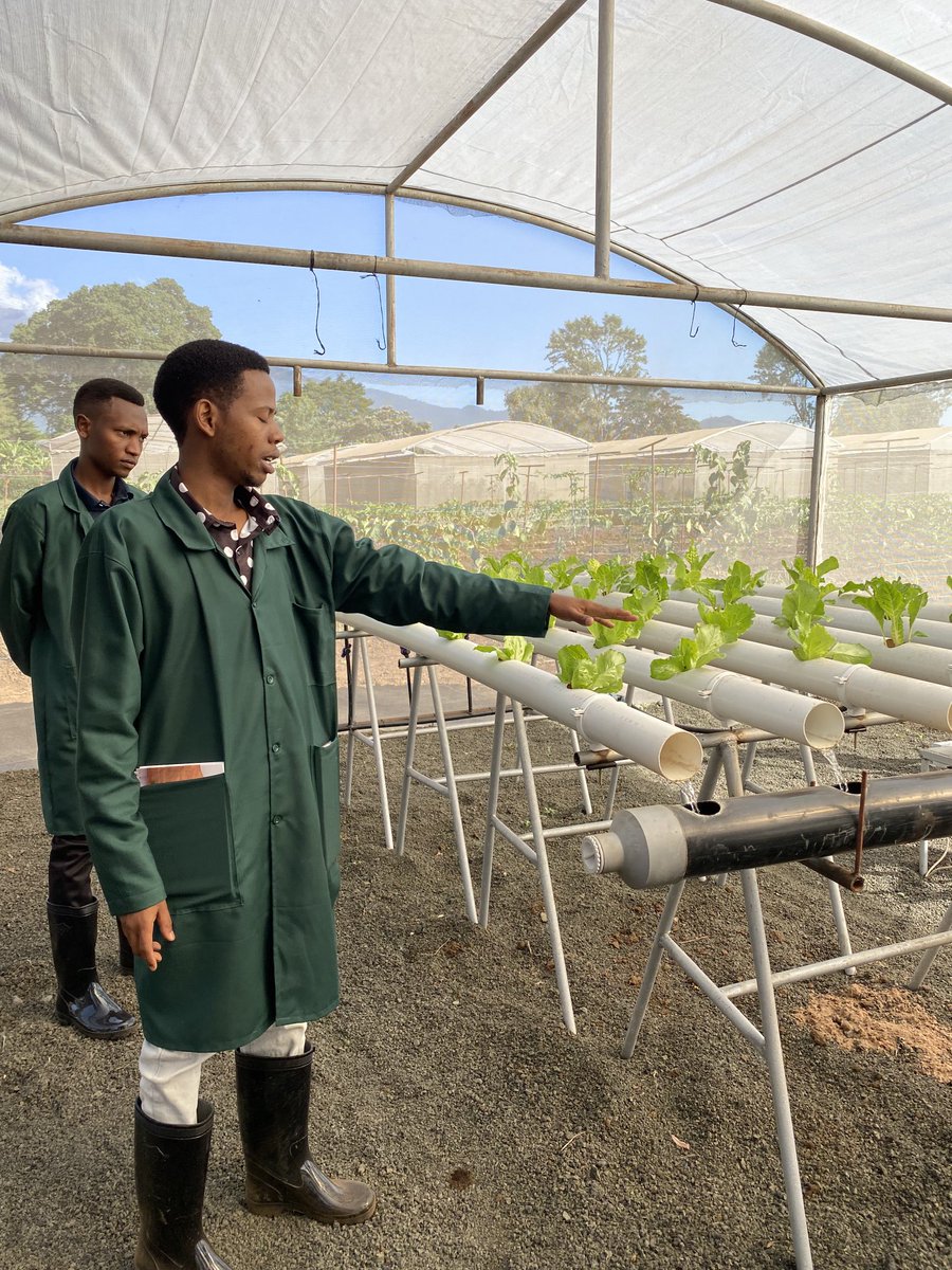 NLAgriTanzania's tweet photo. The future is in the hands of the #youth. Thank you ⁦@go_vegetables⁩ for investing in youth through practical #trainings, #research on sustainable #horticulture production and looking for local solutions on #post-harvest losses.⁦@Wiebe_de_Boer⁩ ⁦@MNjumali⁩ https://t.co/CF4A84bJS4