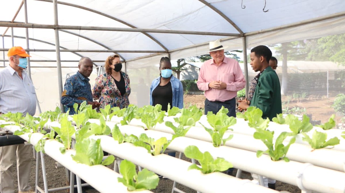NLAgriTanzania's tweet photo. The future is in the hands of the #youth. Thank you ⁦@go_vegetables⁩ for investing in youth through practical #trainings, #research on sustainable #horticulture production and looking for local solutions on #post-harvest losses.⁦@Wiebe_de_Boer⁩ ⁦@MNjumali⁩ https://t.co/CF4A84bJS4