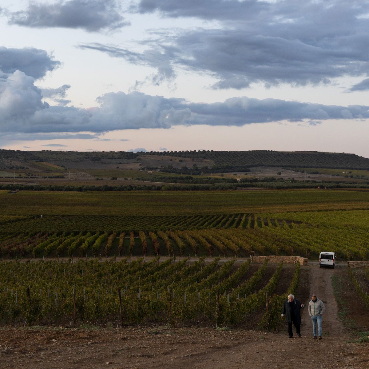 VinitalyTour's tweet photo. DAY 3 RECAP: Sardegna Trip, Gita Scolastica with Italian Wine Ambassadors

👉Argiolas vineyard visit. The ambassadors were in time for the sunset, the most amazing colors!

🔗 Find out more at: https://t.co/oA4nsw7spM #Argiolas #sardinia #sardegna https://t.co/bokTIxUeME