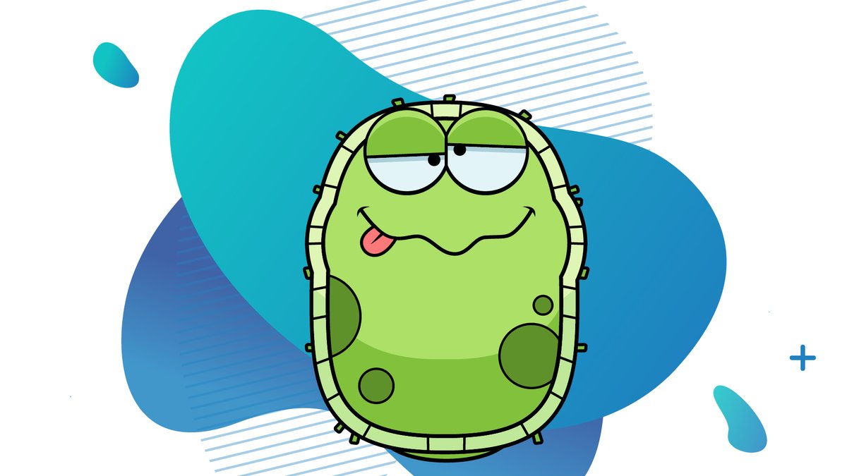 Paddock Wood Primary Academy tweet media