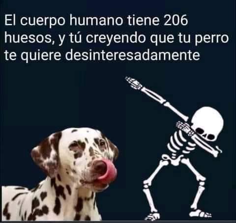 EnsedeCiencia's tweet photo. Otra perspectiva... 😛 https://t.co/xz0LHD7sTy