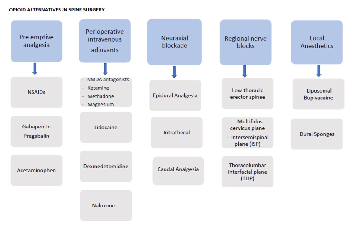 JNeurosurgAnes's tweet photo. See this comprehensive narrative review on opioid alternatives in spine surgery published ahead of print in JNA– 
https://t.co/DpRy48vcUj
@SNACCNeuro #NeuroAnesJC https://t.co/zg9T50wp4A