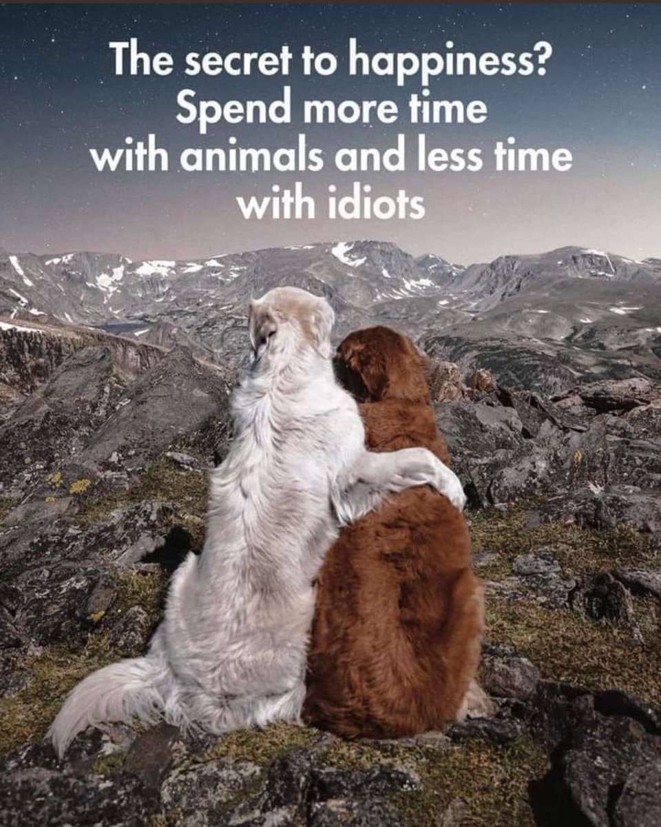 armadalefarm's tweet photo. Yes I really believe it’s this simple! 😉 https://t.co/FpvDXFbHvI