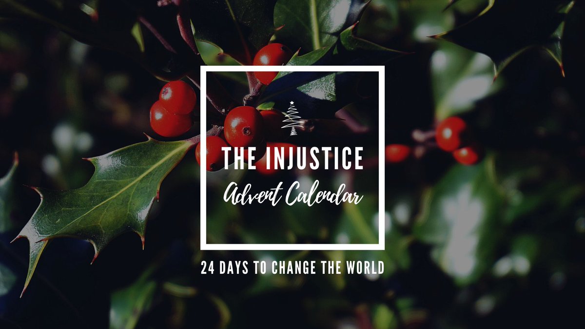 transformtrade_'s tweet photo. The Injustice Advent Calendar is back for 2021 with 2️⃣0️⃣ brilliant organisations involved!
It's simple: 
✅We send you one action each day until Christmas Day
✅It is always FREE to take part
✅Every action takes less than 5 minutes
Sign up here ▶️ https://t.co/0TuqSfsVLs https://t.co/3eTD5jwaqP