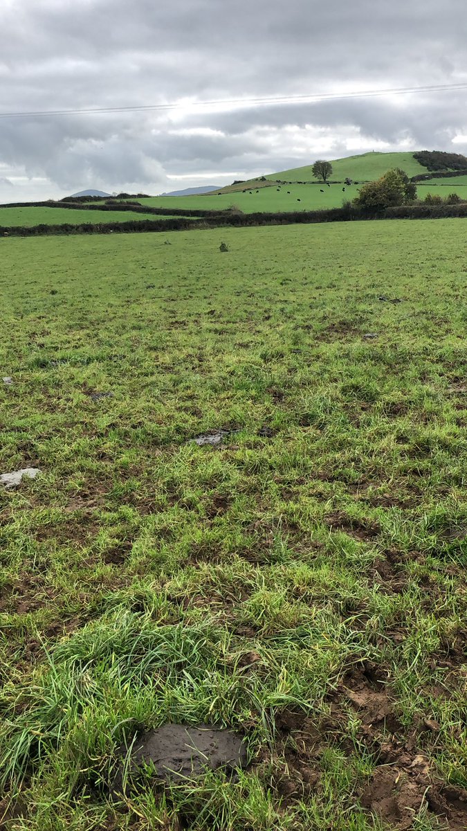 JerryMoloney1's tweet photo. And that’s #grass21 over and out .z grass ,baled silage and 4 kg in parlour now.1.75 kgms https://t.co/9XvQJin742