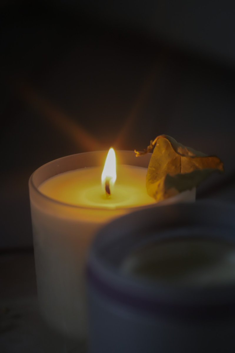 virtuallyeco's tweet image. Happy mid week ✌🏻