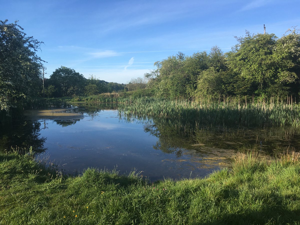 Well done <a href="/TelfordWrekin/">Telford & Wrekin Council</a> for scooping a national award for biodiversity in planning processes! We’ve protected 1,000+ hectares of much-loved green space locally. With our newly announced £2m investment into our green spaces, we will now push even higher!  newsroom.telford.gov.uk/News/Details/1…
