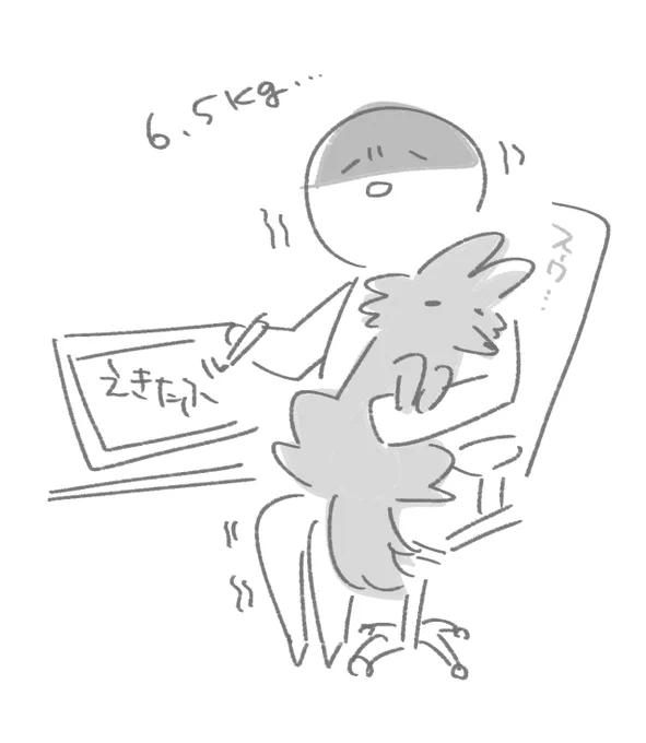 ima 