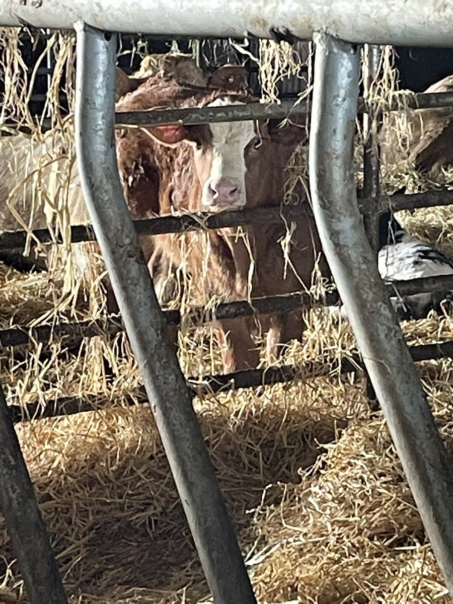 c t r (@claytonr1990) on Twitter photo 