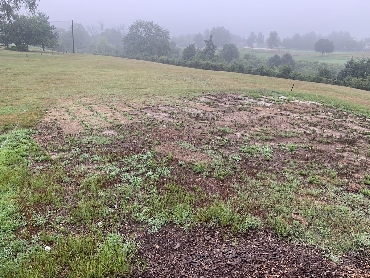 PCagronomy's tweet image. Fall projects moving nicely. Before and after of new nursery and bridge cleaning project
