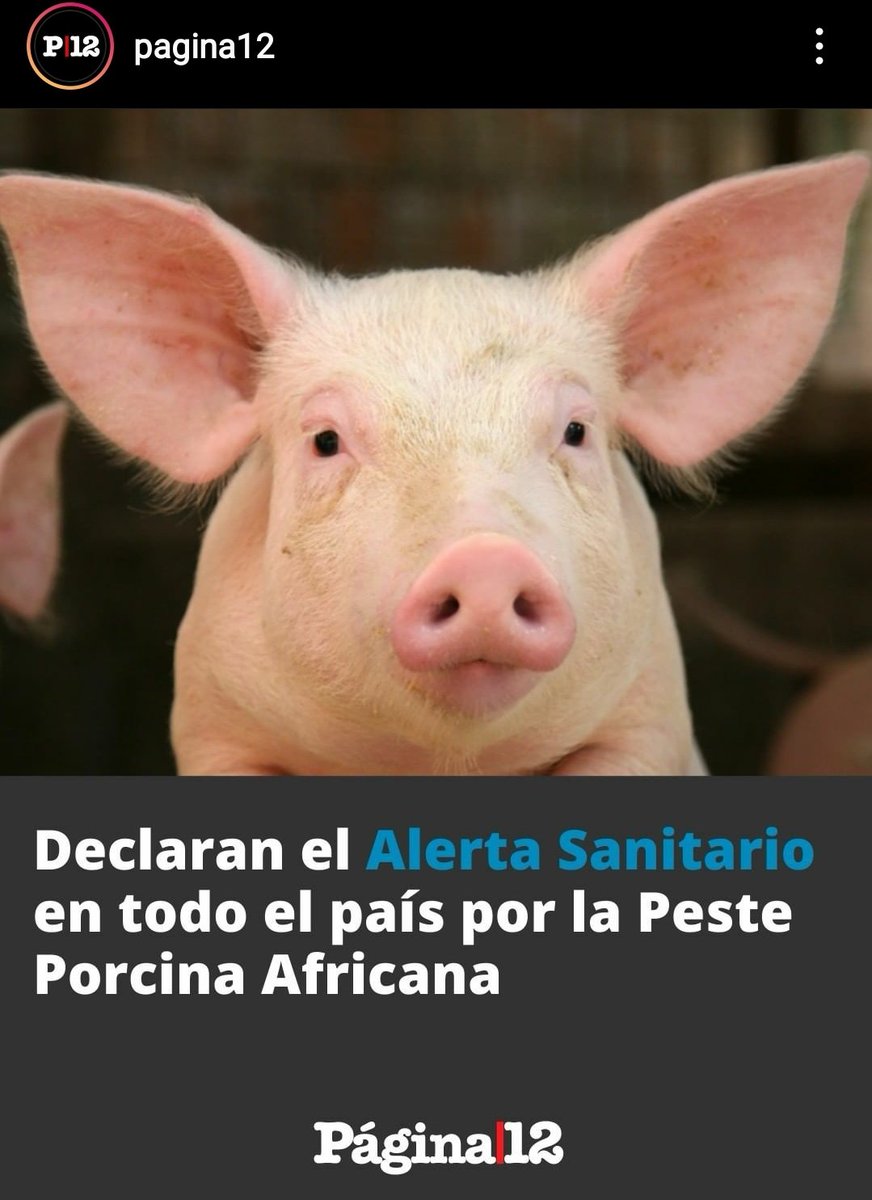 BlausteinMatias's tweet image. Idea...

¿Porqué no instalar granjas porcinas y que entren dólares,

Expandir el cultivo de soja con glifosato para chanchos,

Crecer trigo HB4 con glufosinato para tolerar sequía y paliar el hambre generadas,

Y que las farmacéuticas nos vendan  las vacunas?

No puede fallar...