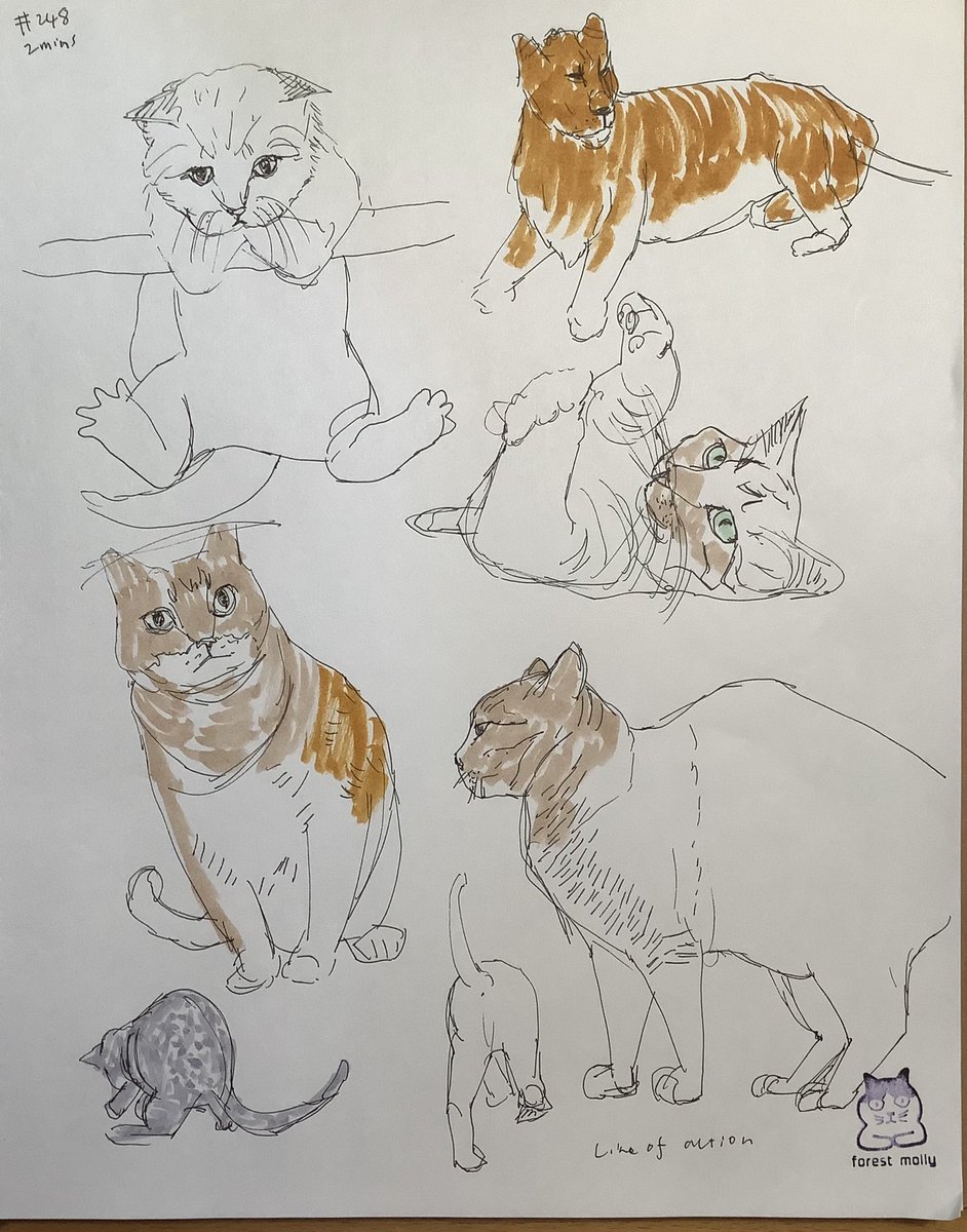 Mollykinoco's tweet image. #lineofaction #croques 248回目。人物60s猫科動物2分。