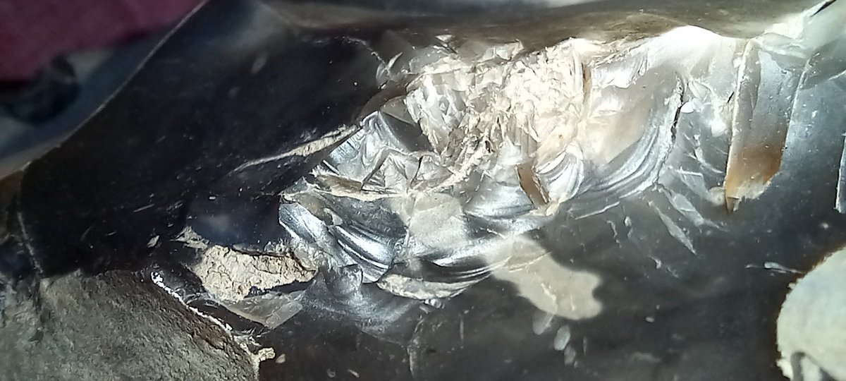 AJ_Chaz's tweet photo. Ayo who knows about flint and rocks and shit?
is this from dinosaur timws https://t.co/eVl35OfLSo