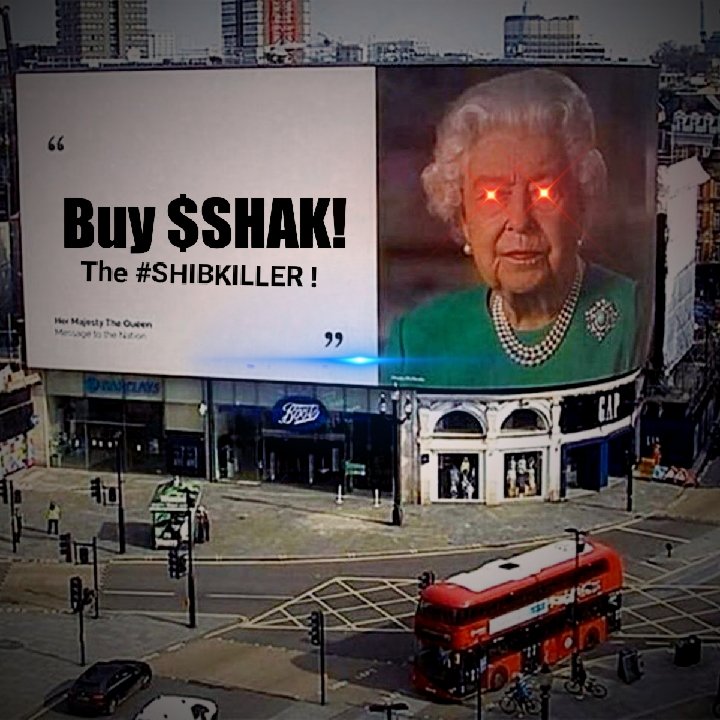 RadioRocket3's tweet image. #SHAK #shibkiller @ShakitaInu