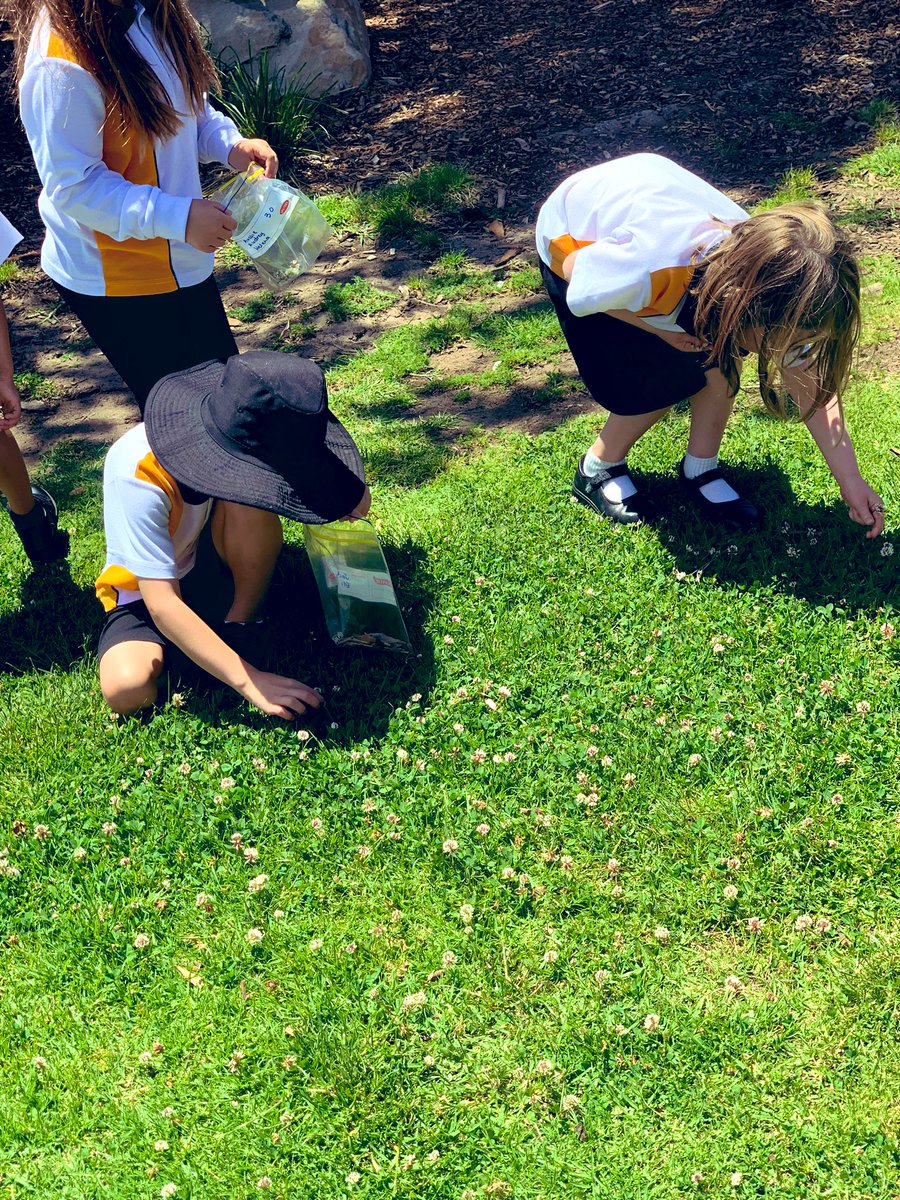 DuncanTeach tweet media