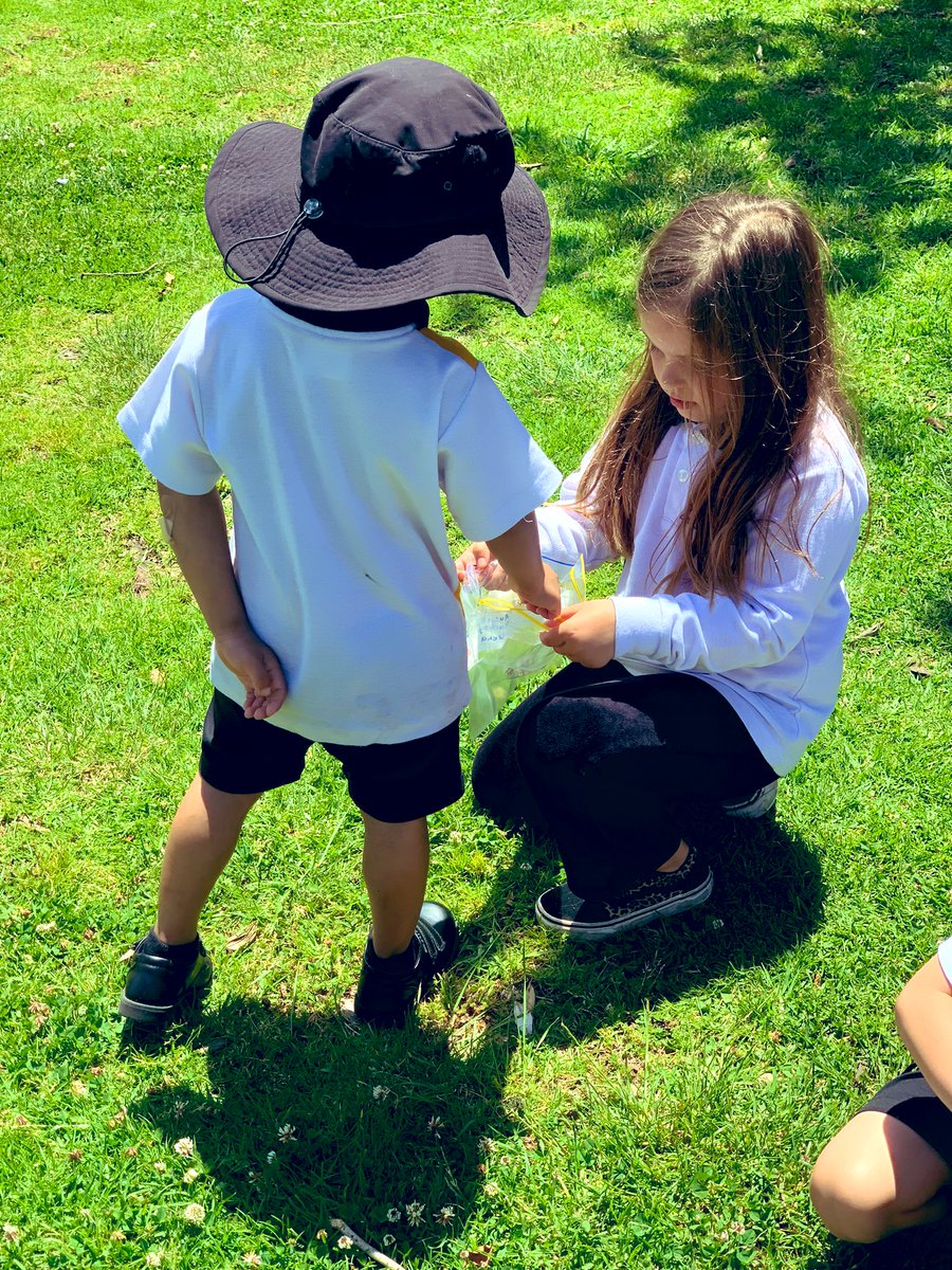 DuncanTeach tweet media