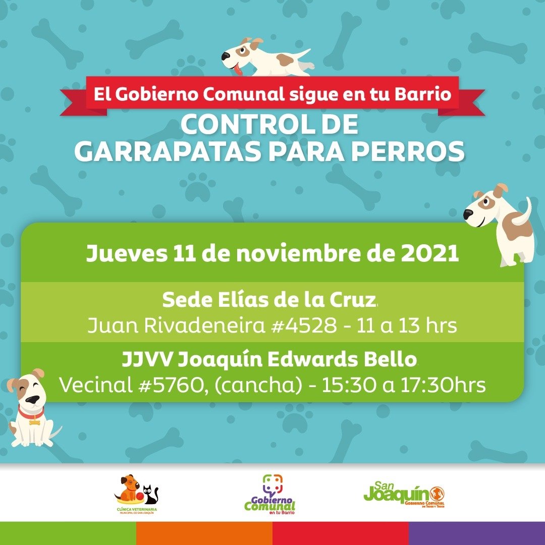 munisanjoaquin's tweet photo. 👉🏼Continuamos con el operativo
#ControlDeGarrapatas para 🐶
Dos lugares diferentes, en dos horarios diferentes, para que puedas elegir el que más te acomode 🤩
Te esperamos 💪🏼 https://t.co/1cBp8zCSYS