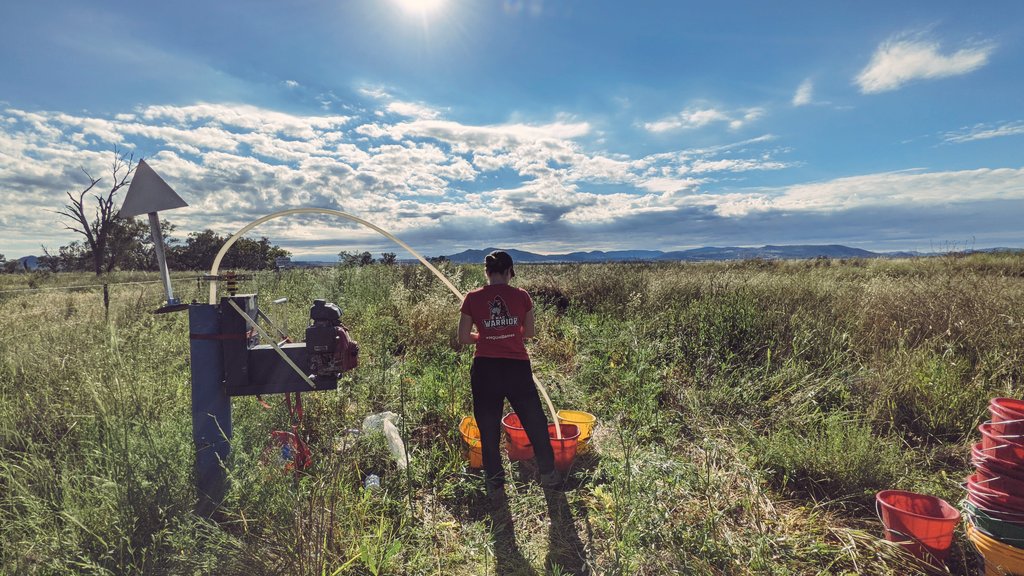Favourite #fieldwork pic featuring a 2015 uni games shirt! 😂 Was great being back in the field post lockdown #phdlife  @MQBiology
