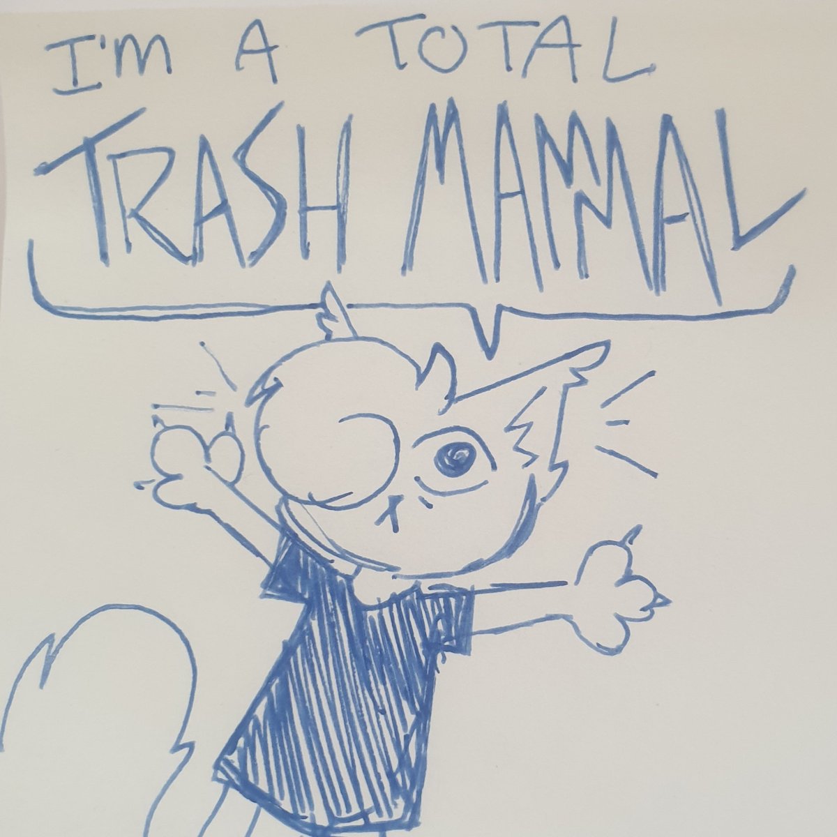 WeirdCatHQ's tweet photo. Rt if you're a trash mammal https://t.co/79LU9wTHYs