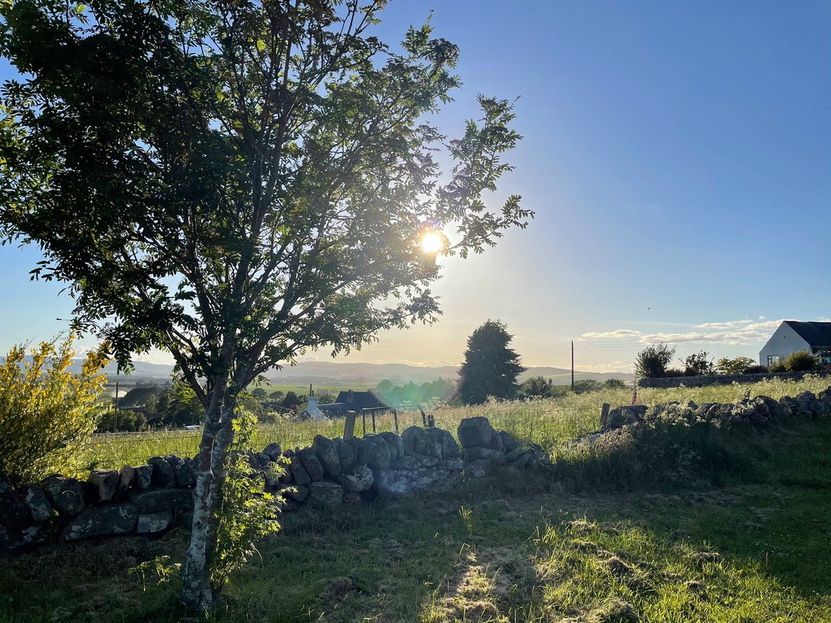 The universe is saying to you today. Trust me and trust the process. The time has come to reap the rewards. The things you have gone through prepared you and made you stronger. Give everyday the chance to become the most beautiful day 
of your life. ❤️