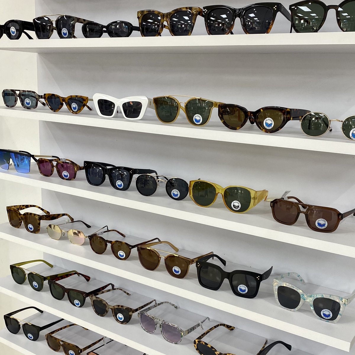 beachnflips's tweet photo. Tons of new sunnies by @iseasunglasses just hit our shelves. 🕶☀️ https://t.co/8gokdBGjuT