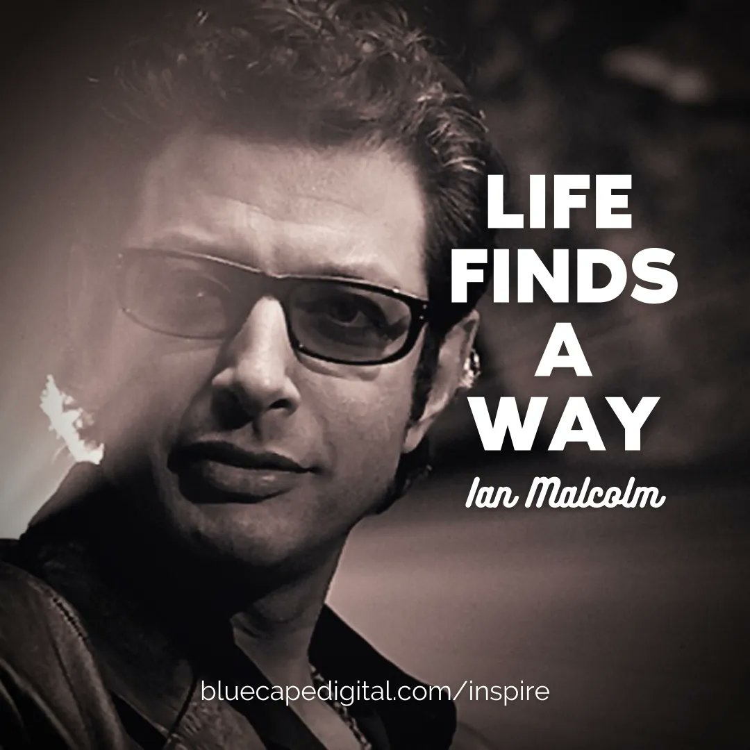 bluecapedigital's tweet photo. Dino about you, but I think heβs right. π¦π¦βοΈ
#ATX #Austin #BlueCapeDigital #Inspiration #Wisdom #QuoteOfTheDay #JeffGoldblum #IanMalcolm #JurassicPark https://t.co/b7R5etHzCq
