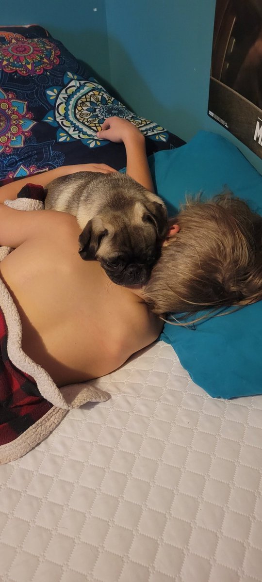 _Raven_Dolly's tweet photo. I don't think TJ can go to school today mom...I'm...I mean we are too comfy https://t.co/pEXYYEjR2s