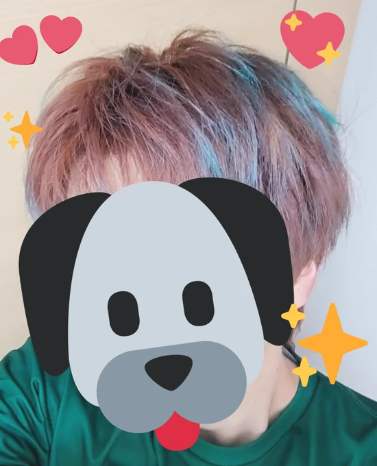 これは抜いたり染めたり伸びたり抜いたり染めたりしてるうちに何故かめちゃめちゃ独歩(観音坂の方)みたいになっちゃったときの僕 