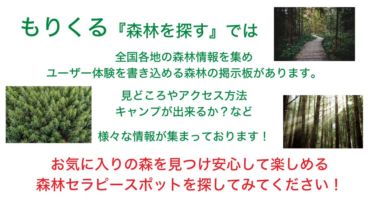 moricrew's tweet photo. 【森林セラピーができるおすすめの森はどこ？】

森林セラピーを楽しむにはまず、心身ともにとてもリラックスできる森を見つける必要があります❗️

では森林を探す方法は？😲

🌳詳しくは図で解説しています⤵︎ https://t.co/68it1isGyV