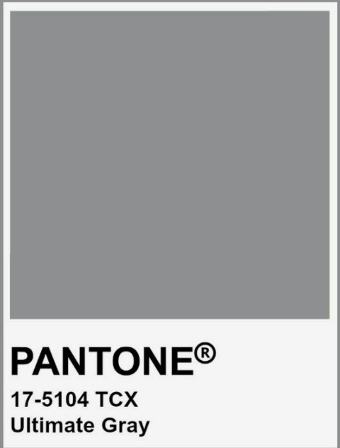 ExhibitAssociat's tweet photo. The other color of the year according to @pantone
#UltimateGray #ColorOfTheYear https://t.co/CvH56RKTSI
