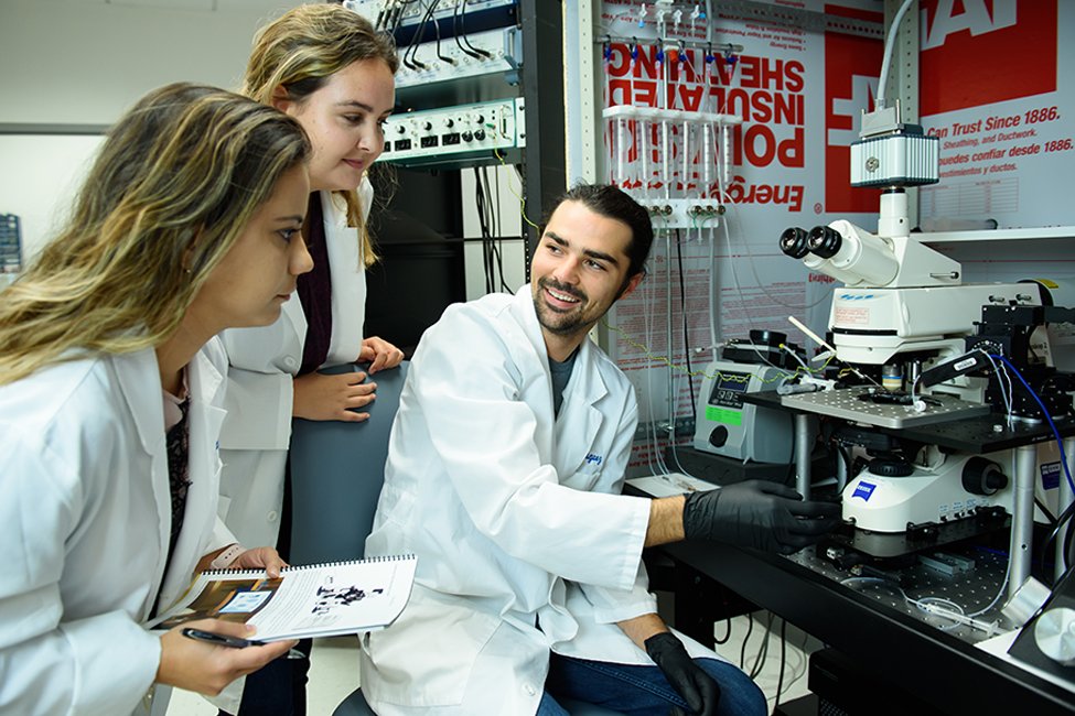 FAU Charles E. Schmidt College of Science (@fauscience) on Twitter photo Next Generation Neuroscience Graduate Program Announced - A collaboration between <a href="/FauBrain/">FAU Brain Institute</a> and the Schmidt College of Science. Read more: fau.edu/newsdesk/artic…. Next Generation Neuroscience Graduate Program Announced - A collaboration between <a href="/FauBrain/">FAU Brain Institute</a> and the Schmidt College of Science. Read more: fau.edu/newsdesk/artic….