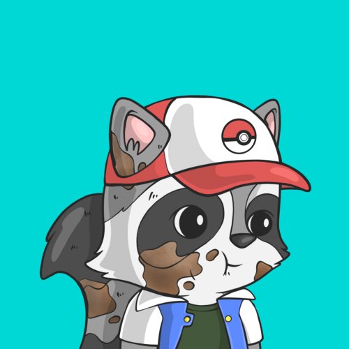 Look At My Raccoon tweet media