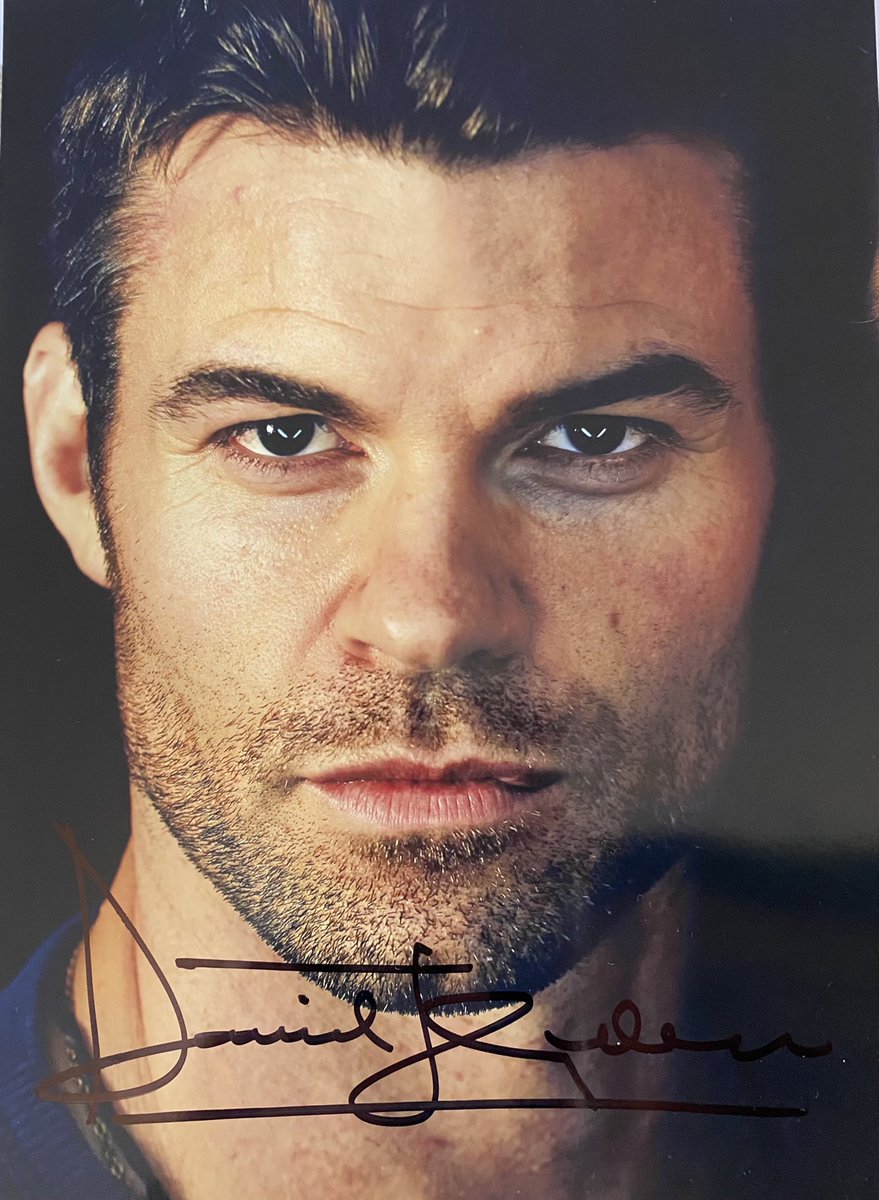DreamitCon's tweet photo. #Autographwednesday Win an autograph from Daniel Gillies! Follow us , RT the tweet and tag 2 friends! // Gagne un autographe de Daniel Gillies! Suis nous, RT le tweet et tague 2 amis! https://t.co/QTSllwXAq1
