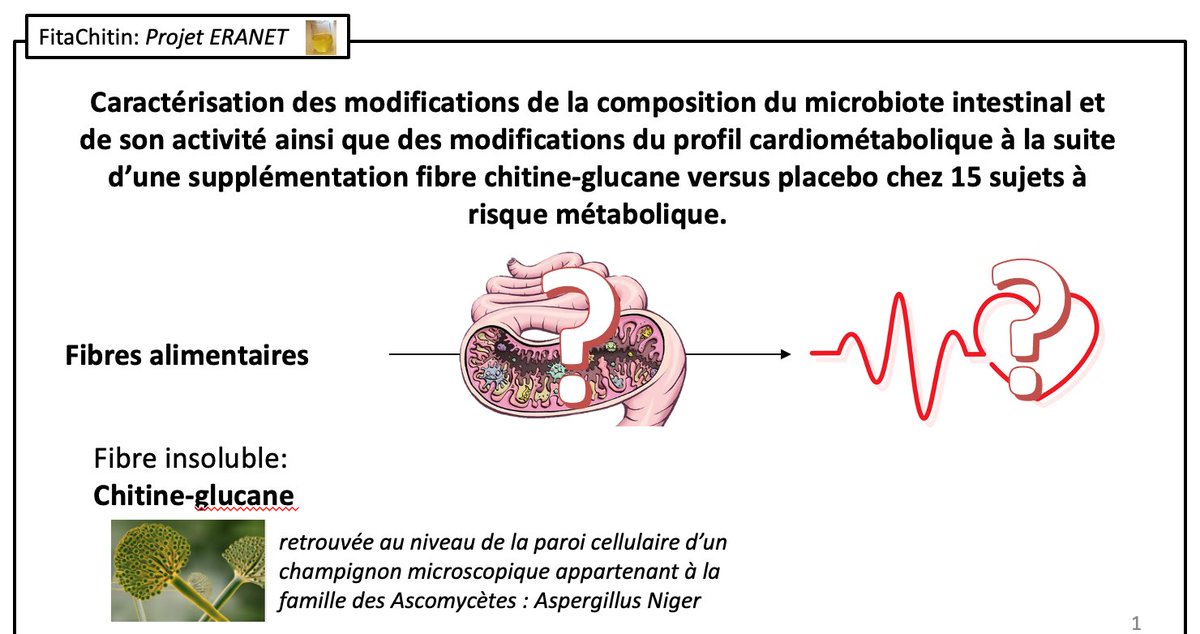 Harimala Ranaivo, thésarde du CRNH, participe aux Journées francophones de Nutrition à Lille! Elle présente le 11/11 à 16h15 ses travaux sur la fibre chitine-glucane, métabolisme postprandial et microbiote intestinal à la session "Alimentation, Microbiote et Santé" #jfnLive