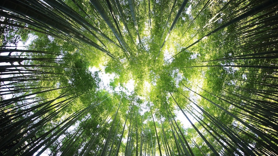 EFAfundassn's tweet photo. Fundraising Europe: Greener Fundraising in a Climate Crisis - Our November newsletter is out today with a special focus on greener fundraising. Don't miss this month's news round-up and blogs. Read more here... #FundraisingEurope https://t.co/IYBvFntHCz https://t.co/wJ3iVH1tDi