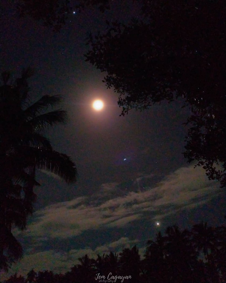 jemcagayan's tweet photo. Evening parade ft. Jupiter, Moon and Venus!♉🌙💓

📸: Jeromie Cagayan
📍:Dao, Balud, Masbate
🗓️:  November 10, 2021
🕜:07:00 Pm

#nightlifephotography
#moonlovesyou
#crescentmoon
#moonph
#novembermoon
#selenophile
#luna
#moon
#jupiter
#philippines
#masbate
#love
#venus
#Jupiter https://t.co/tw0t2W6JOH