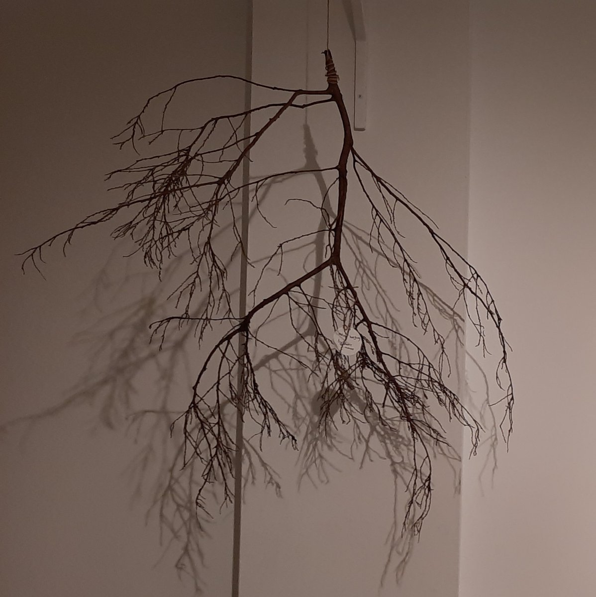 Dick_Institute's tweet photo. 'Autumn Hanging'
PLANET OVER PROFIT
Artwork and message by Laurie McDade
#COP26 #LeafUsAlone #Seedscapes #NoPlanetB #CountUsIn #racetozero #TogetherForOurPlanet https://t.co/alWXQkqVko
