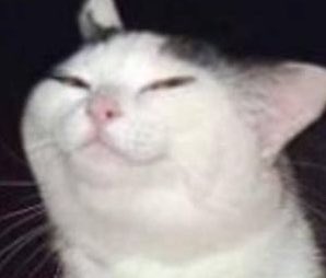 ✨ S p i k a 🐰 ✨💕❤️✨💝💘✨💗💞💗✨💖💘💝✨💕💗✨💖💘 tweet media