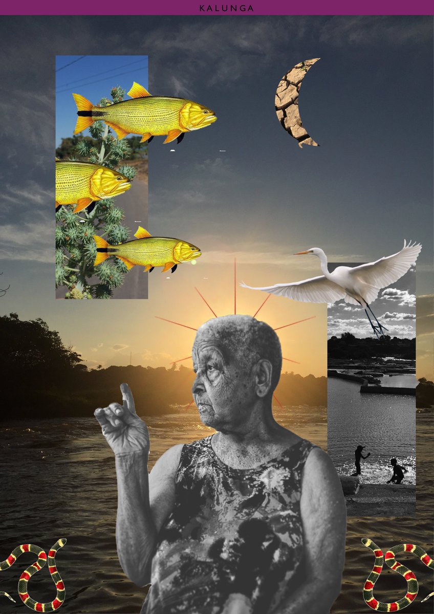 osurubim's tweet photo. The fishes from my land they fly!

Just minted Kalunga on @hicetnunc2000 

8 pieces available for 0.8tz

https://t.co/y9DFD29Xdr

#fish #nft #cleanNFT #tezos https://t.co/QZYvnyDkQv