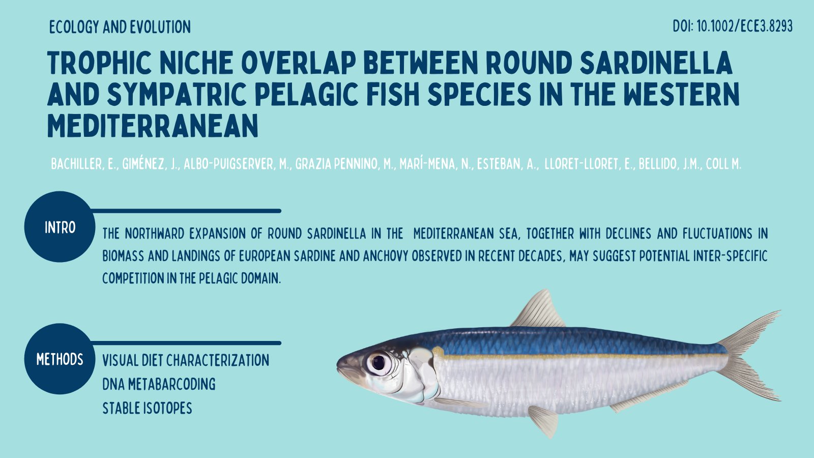 Joan Giménez on X: 📢New publication about the trophic niche overlap  between round sardinella and sympatric pelagic fish species in the Western  Mediterranean @ICMCSIC @IEOVigo @IEOMurcia @AllGenetics @CienciasDoMar  @MaREIcentre @uccBEES