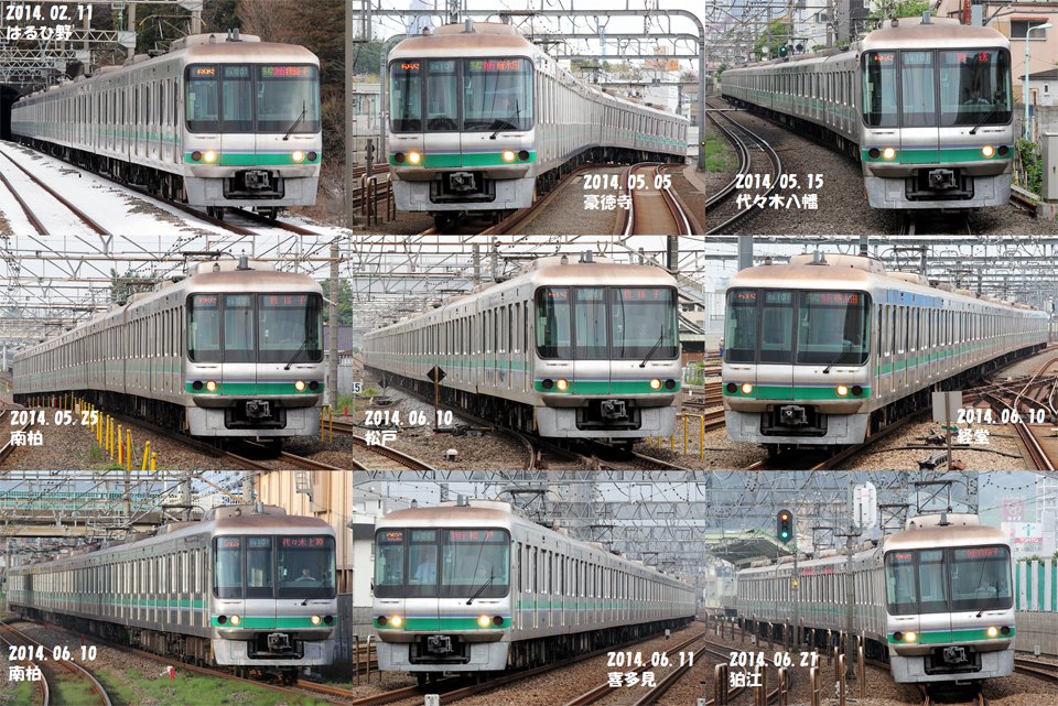 ぱぁーとりぃ tweet media