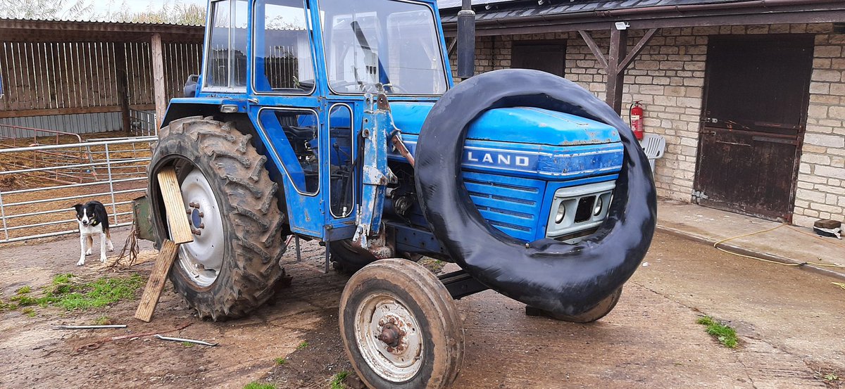 Ganders Goat tweet media